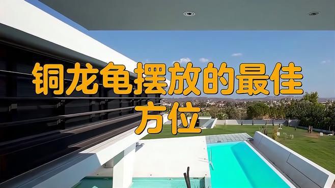 有哪些場景適合擺放龍龜？，《有哪些場景適合擺放龍龜》龍龜擺放最佳位置助你財運亨通