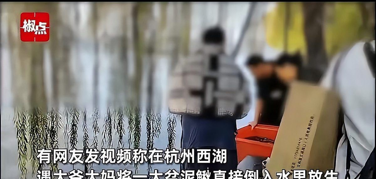 為什么放生泥鰍果報大，《為什么放生泥鰍鰍報大》放生泥鰍報大果報的行為