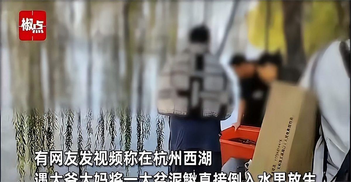 為什么放生泥鰍果報大，《為什么放生泥鰍鰍報大》放生泥鰍報大果報的行為