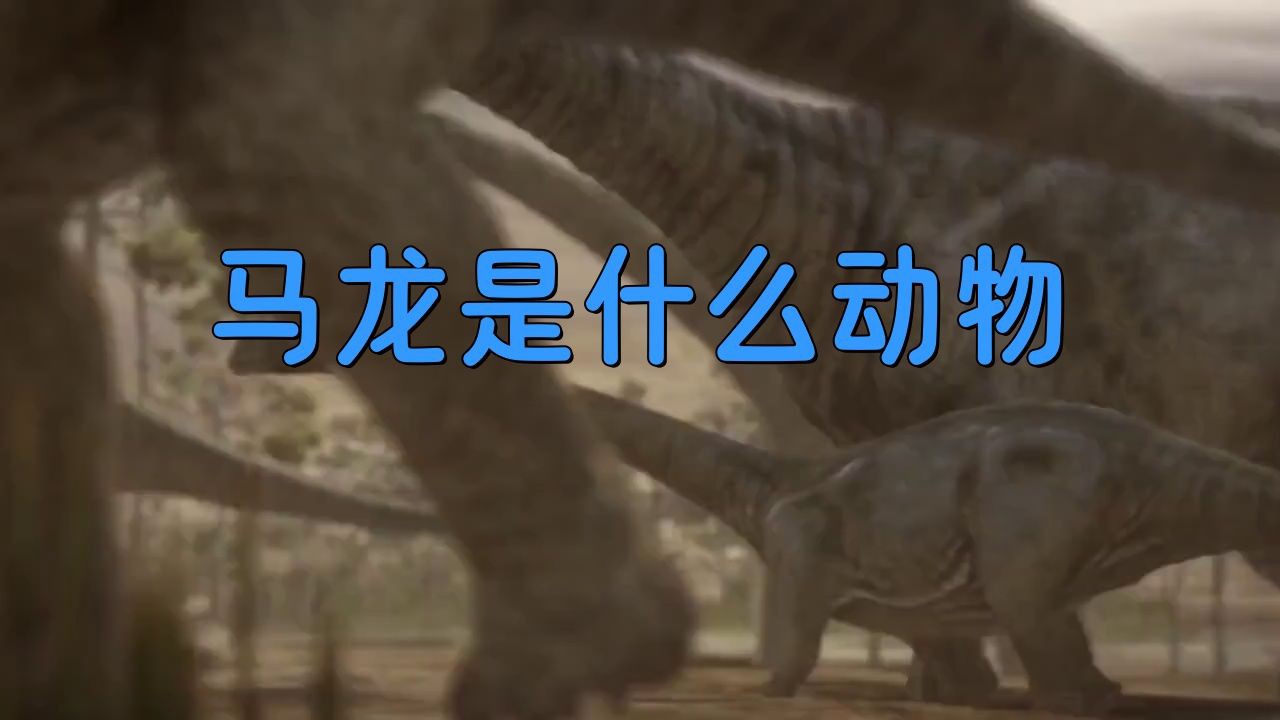 恐龍馬龍，馬龍是什么動物運動達人，野馬龍,塞爾馬龍 恐龍馬龍，馬龍是什么動物運動達人，野馬龍,塞爾馬龍 龍魚百科 第1張