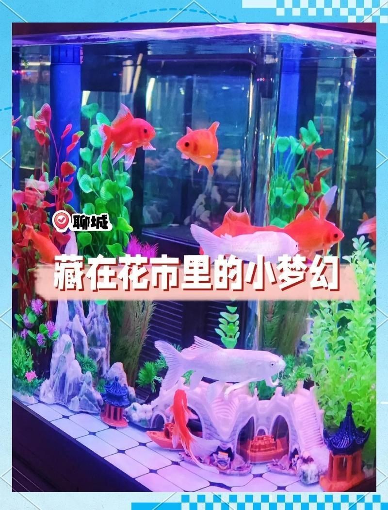 聊城水族批發(fā)市場，聊城水族批發(fā)市場多元化、專業(yè)化特征