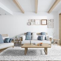 蚌埠水族店，蚌埠市喬伊水族用品店