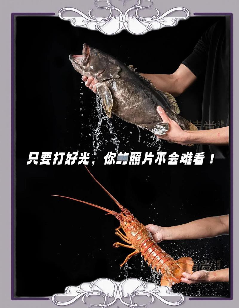 大龍蝦的生態(tài)攝影作品，《大龍蝦的生態(tài)攝影作品》