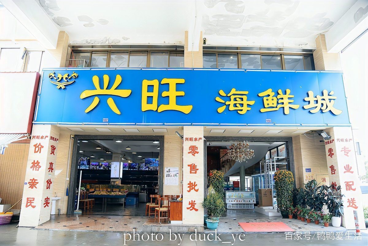 安多龍魚店，廈門安多龍魚店有哪些龍魚品種安多龍魚店的具體地址