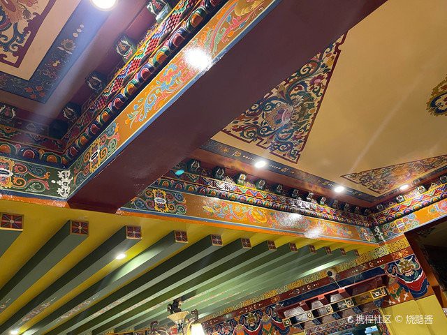 安多龍魚店，廈門安多龍魚店有哪些龍魚品種安多龍魚店的具體地址