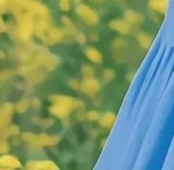 東莞水族批發市場，東莞市水族批發市場 東莞水族批發市場，東莞市水族批發市場 全國水族館企業名錄 第3張