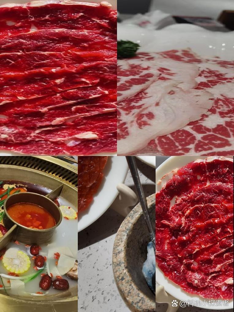 桐城龍魚店，桐城是否有龍魚店 桐城龍魚店，桐城是否有龍魚店 全國水族館企業名錄 第8張