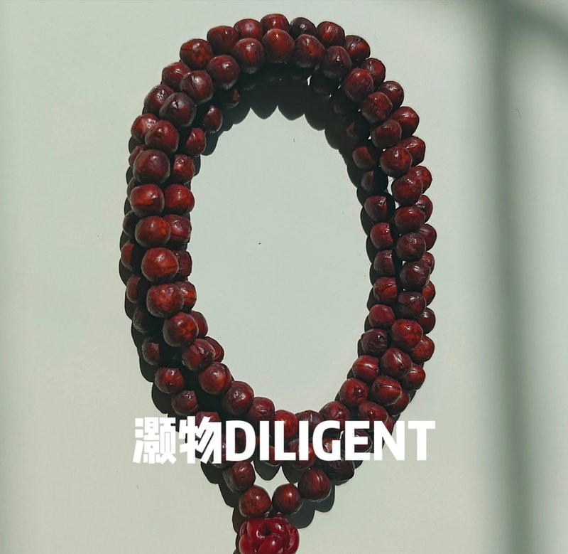 0.6的龍眼菩提如何盤玩？，0.6的龍眼菩提如何盤玩