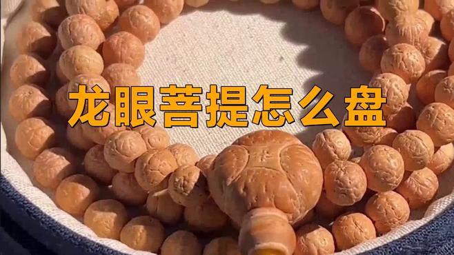 0.6的龍眼菩提如何盤玩？，0.6的龍眼菩提如何盤玩