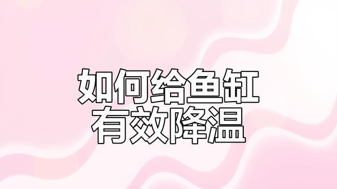如何逐步將銀龍魚的水溫降至28度？，夏季如何給銀龍魚水溫控制在多少度