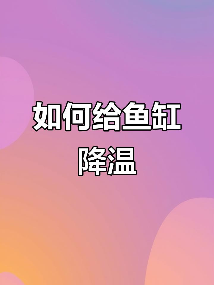 如何逐步將銀龍魚的水溫降至28度？，夏季如何給銀龍魚水溫控制在多少度
