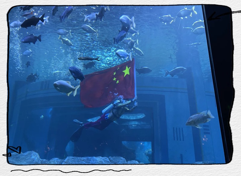 南昌水族店，南昌有哪些大型水族館 南昌水族店，南昌有哪些大型水族館 全國水族館企業名錄 第2張