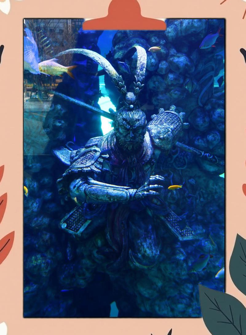 南昌水族店，南昌有哪些大型水族館 南昌水族店，南昌有哪些大型水族館 全國水族館企業名錄 第1張