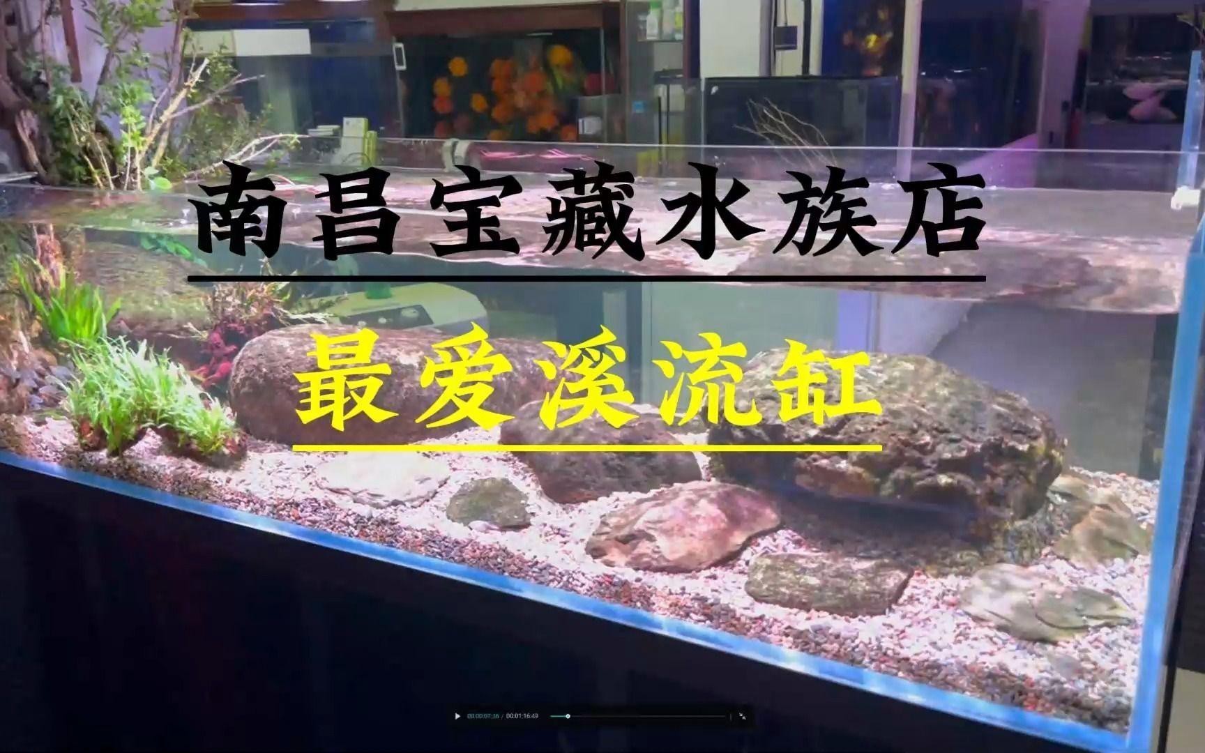 南昌水族店，南昌有哪些大型水族館 南昌水族店，南昌有哪些大型水族館 全國水族館企業名錄 第4張