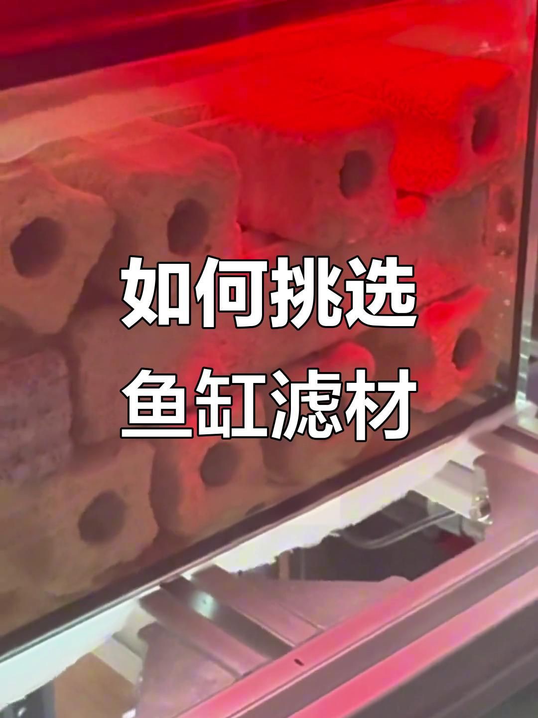 濾材買啥樣的比較好，《濾材買啥樣的比較好》 濾材買啥樣的比較好，《濾材買啥樣的比較好》 龍魚百科 第4張