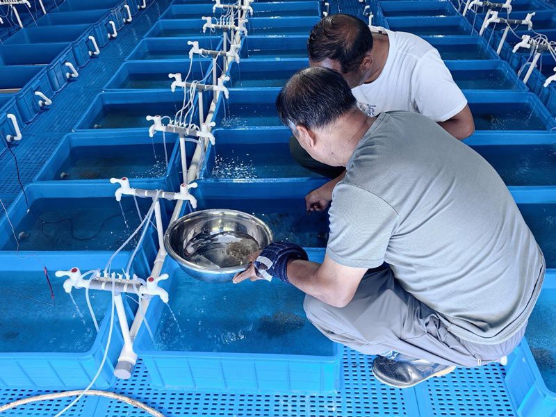 平泉龍魚(yú)店，平泉龍魚(yú)店有哪些特色及種