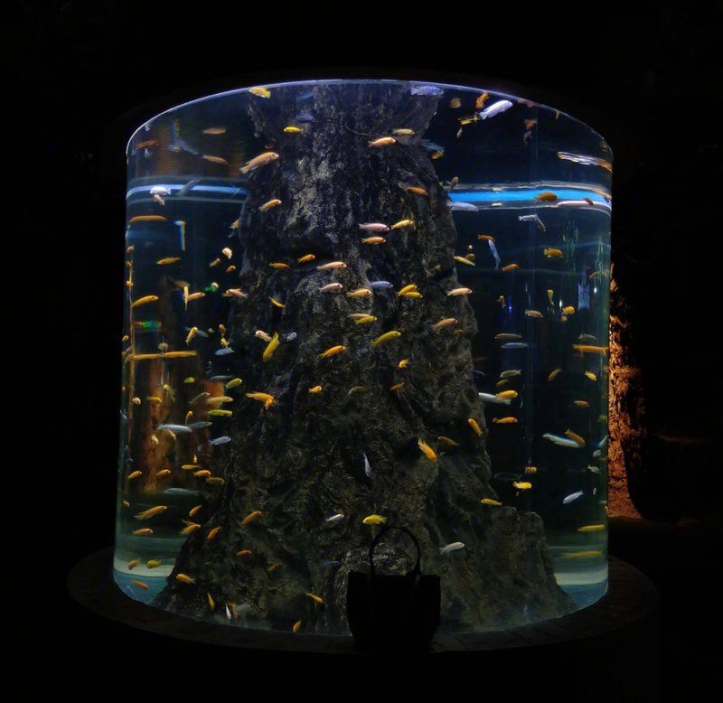 綿陽水族館，綿陽海底世界——綿陽水族館