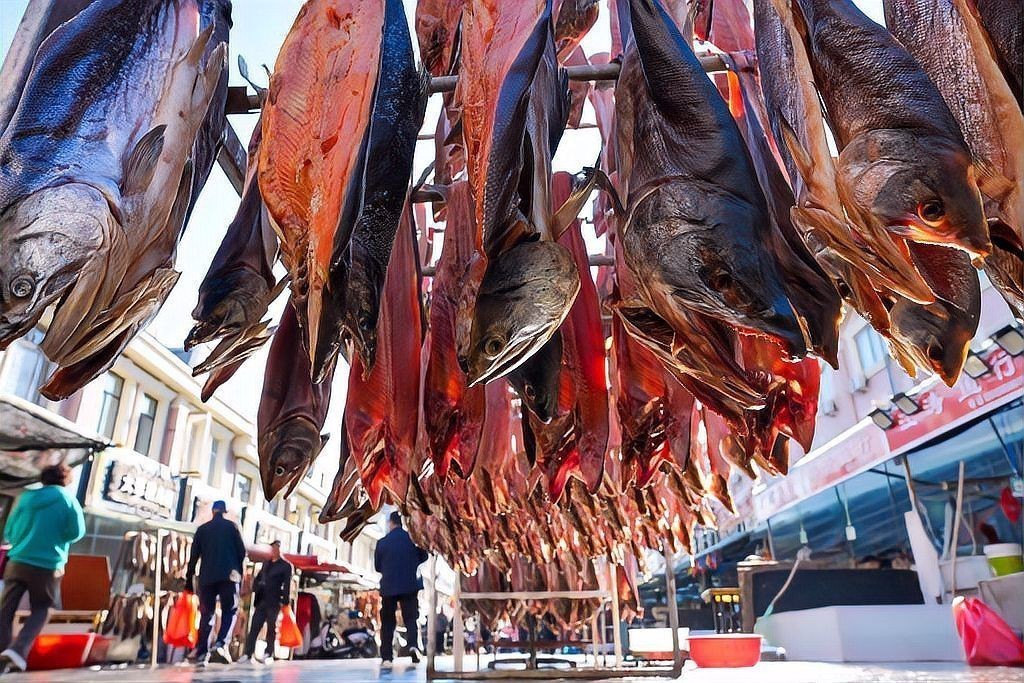黑河龍魚店，“黑河龍魚店”開個龍魚店需要多少錢創業機遇等你來抓 黑河龍魚店，“黑河龍魚店”開個龍魚店需要多少錢創業機遇等你來抓 全國水族館企業名錄 第10張