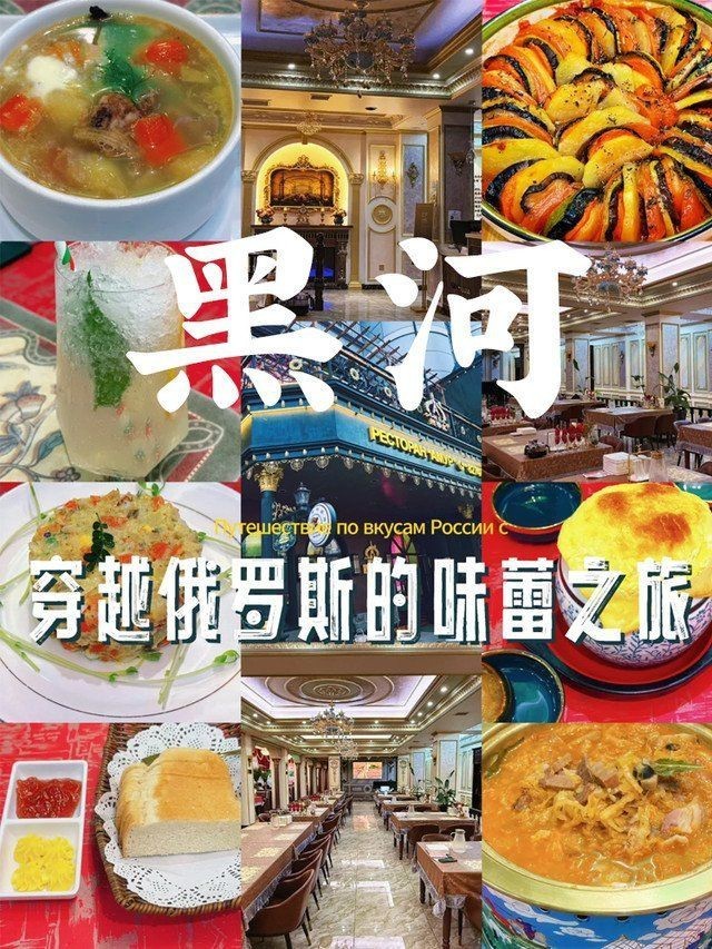 黑河龍魚店，“黑河龍魚店”開個龍魚店需要多少錢創業機遇等你來抓 黑河龍魚店，“黑河龍魚店”開個龍魚店需要多少錢創業機遇等你來抓 全國水族館企業名錄 第16張