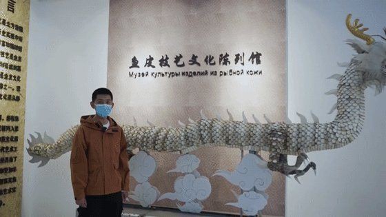 黑河龍魚店，“黑河龍魚店”開個龍魚店需要多少錢創業機遇等你來抓 黑河龍魚店，“黑河龍魚店”開個龍魚店需要多少錢創業機遇等你來抓 全國水族館企業名錄 第6張