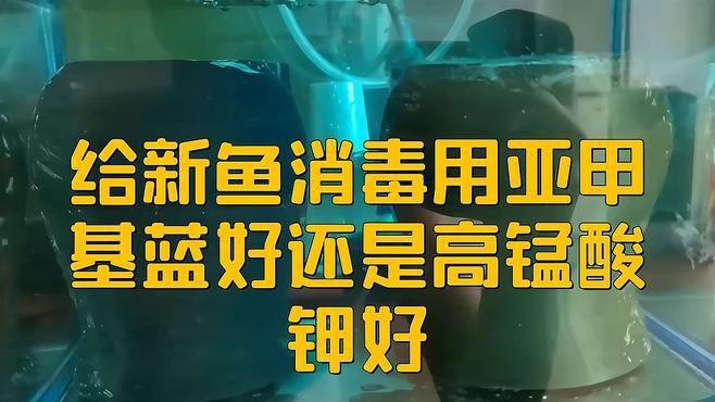 有哪些適合家庭魚缸的消毒劑，家庭養魚殺菌用什么藥 有哪些適合家庭魚缸的消毒劑，家庭養魚殺菌用什么藥 龍魚百科 第2張