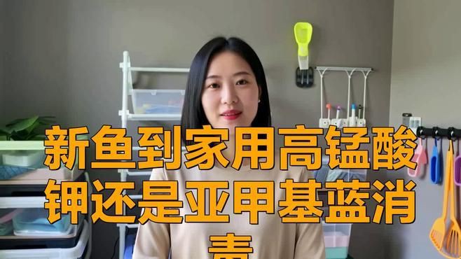 有哪些適合家庭魚缸的消毒劑，家庭養魚殺菌用什么藥 有哪些適合家庭魚缸的消毒劑，家庭養魚殺菌用什么藥 龍魚百科 第1張