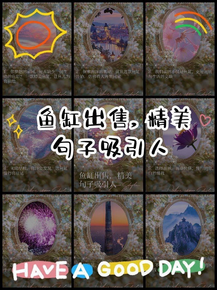 黃山魚缸批發市場，黃山魚缸批發市場分析報告怎么寫黃山魚缸批發市場