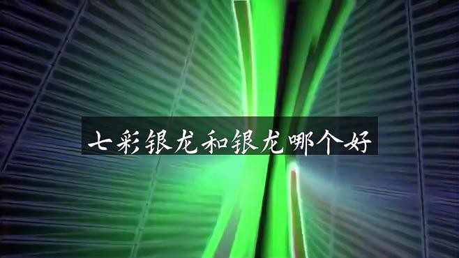 七彩龍魚和銀龍魚哪個更受歡迎？，《七彩龍魚和銀龍魚哪個更受歡迎》七彩龍魚和銀龍魚哪個好