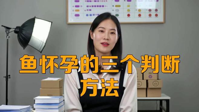 如何判斷銀龍魚是否懷孕？，如何判斷銀龍魚是否懷孕