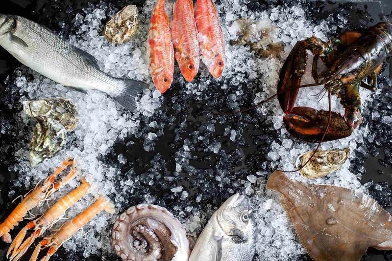 蘇州水族批發市場，蘇州水族批發市場是當地及周邊地區重要水族產品集散地