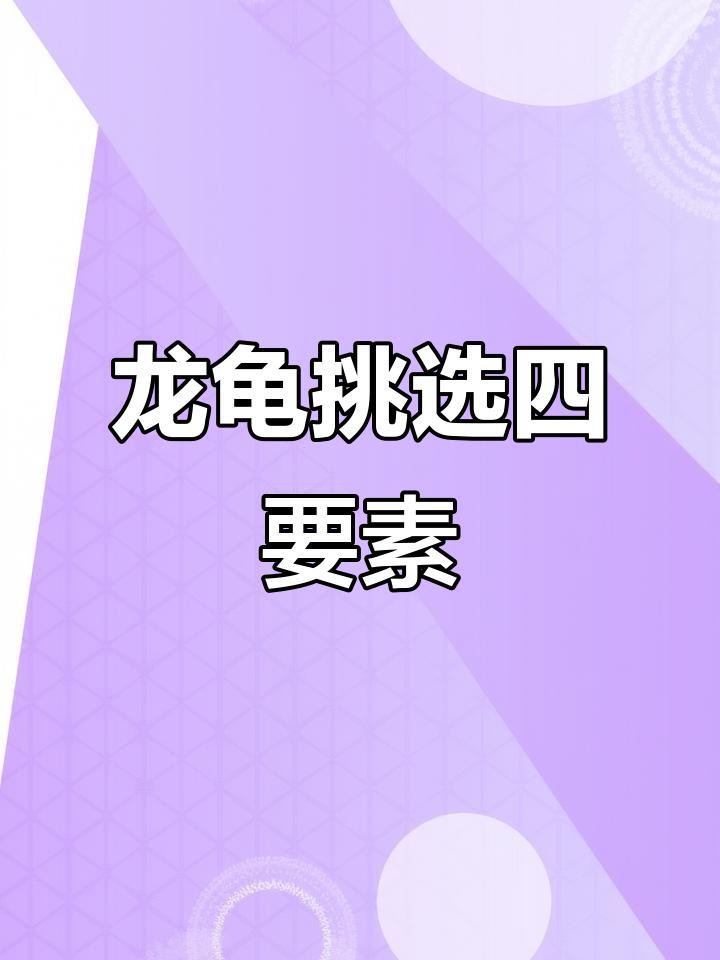 如何挑選一張高質量的龍龜圖片？，和田玉龍龜如何挑選和田玉龍龜作品掌握這四點避免踩雷