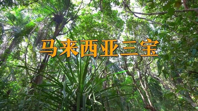 馬來(lái)西亞特產(chǎn)三寶，探秘馬來(lái)西亞解鎖特產(chǎn)三寶,珠寶珍寶無(wú)價(jià)寶