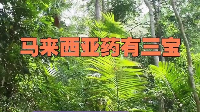 馬來(lái)西亞特產(chǎn)三寶，探秘馬來(lái)西亞解鎖特產(chǎn)三寶,珠寶珍寶無(wú)價(jià)寶