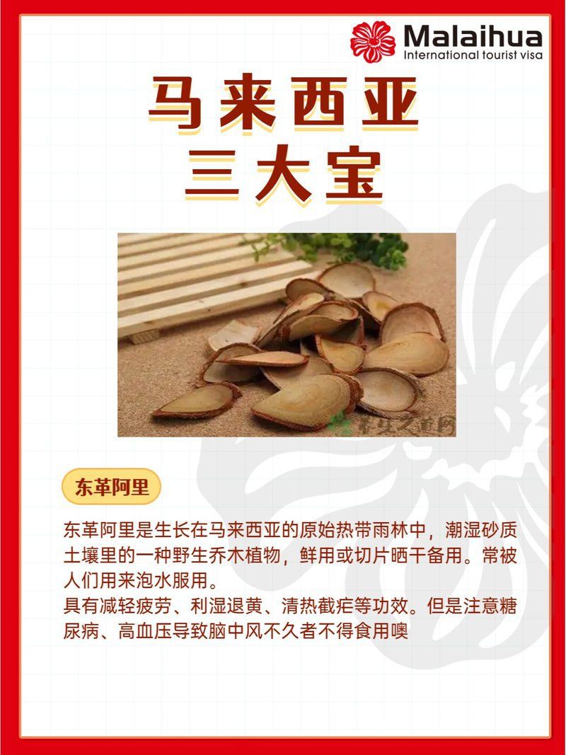 馬來西亞特產三寶，探秘馬來西亞解鎖特產三寶,珠寶珍寶無價寶