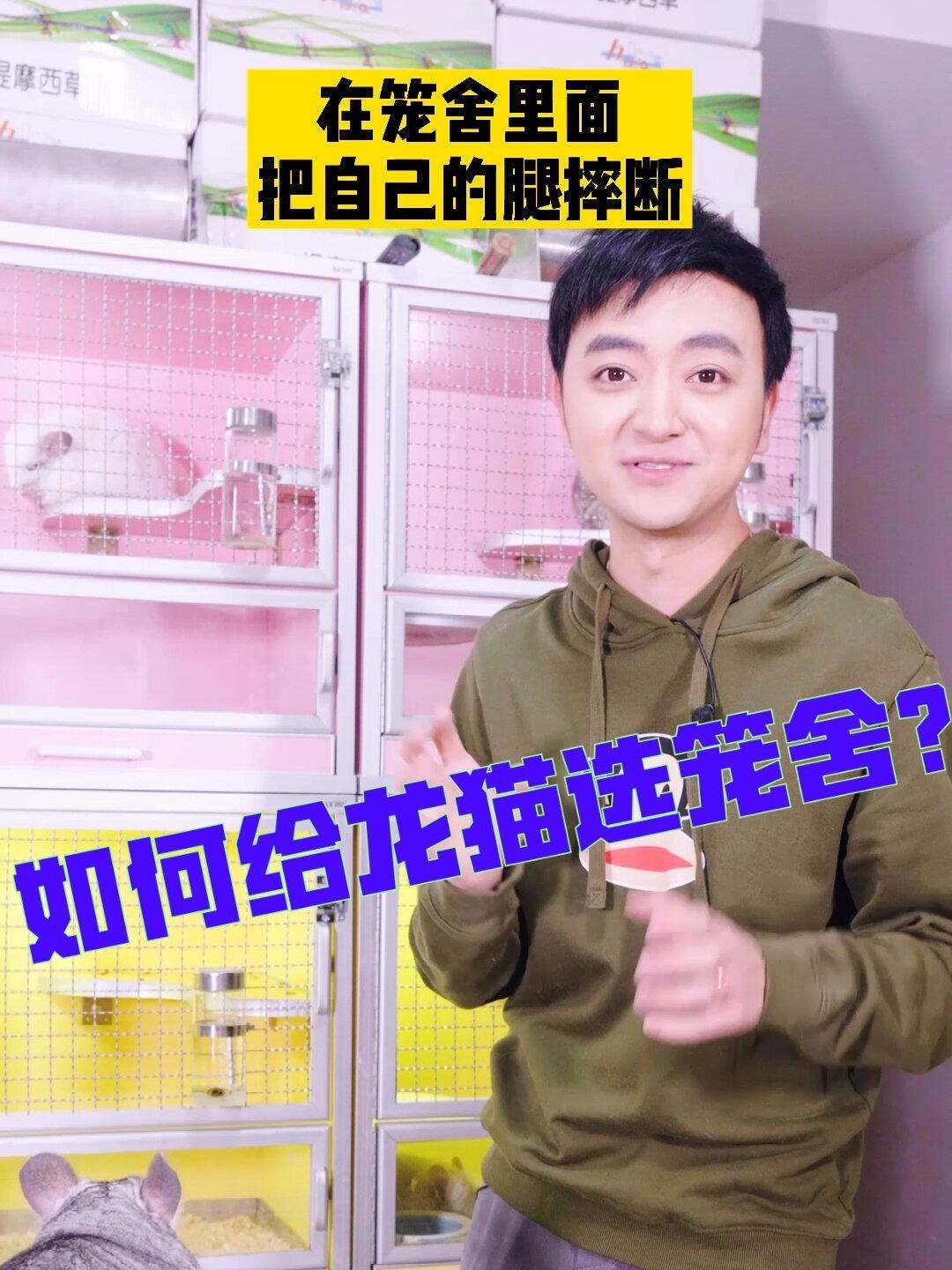 如何選擇適合龍貓的籠具？，養龍貓需要準備什么