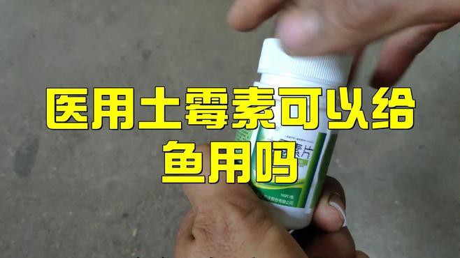 土霉素治療龍魚疾病的效果如何？，土霉素在治療龍魚疾病方面展現(xiàn)出顯著效果