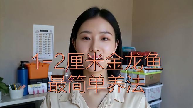 活體魚小金龍觀賞魚，活體魚小金龍的飼養與鑒賞