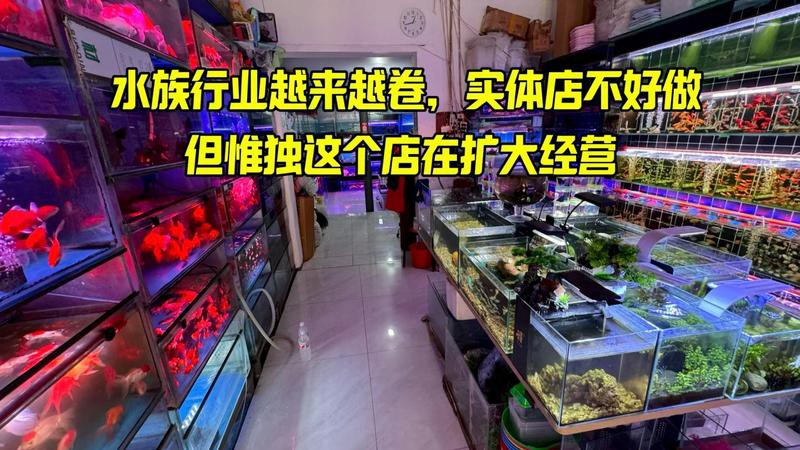 沁縣水族店，沁縣擁有多家特色水族店為當地居民及愛好者提供了豐富的選擇