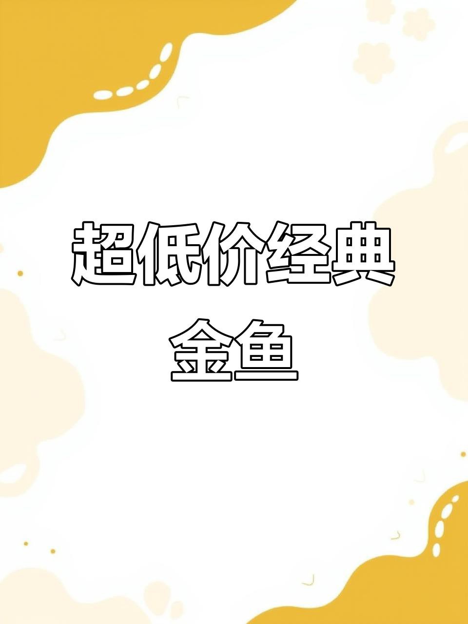 古典金龍魚的市場行情如何？，古典金龍魚價格一覽表探跡guide觀賞魚金龍魚多少錢一條信潮π玩家