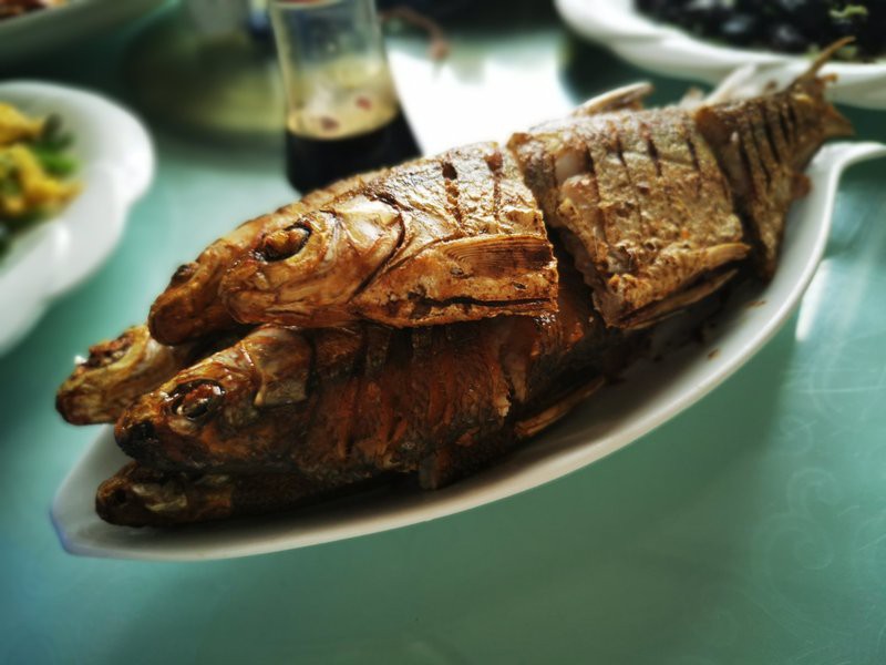 察右后旗龍魚店，內蒙古察右后旗龍魚店打卡攜程旅行聚龍灣龍魚店 察右后旗龍魚店，內蒙古察右后旗龍魚店打卡攜程旅行聚龍灣龍魚店 全國水族館企業名錄 第1張