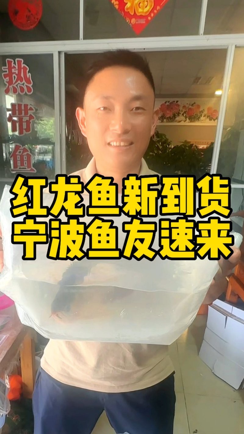 洛隆龍魚店，廣州洛隆龍魚店