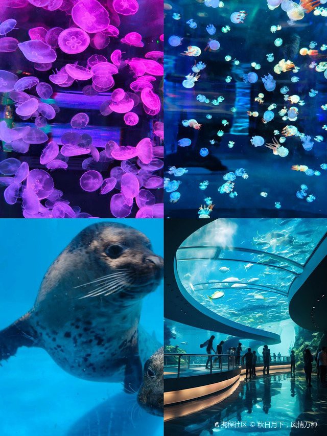 昆<strong><mark>明水</mark></strong>族店，昆明市盤龍區金水門水族店(昆明金水門水族店