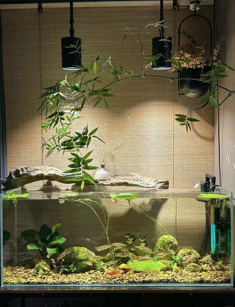 潮州魚缸維護,家庭魚缸維護攻略 全國水族館企業名錄 第6張 潮州魚缸維護,家庭魚缸維護攻略 潮州魚缸維護,家庭魚缸維護攻略 全國水族館企業名錄 第6張