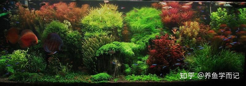 淮安魚缸定做，淮安大型魚缸定做 淮安魚缸定做，淮安大型魚缸定做 全國水族館企業名錄 第13張