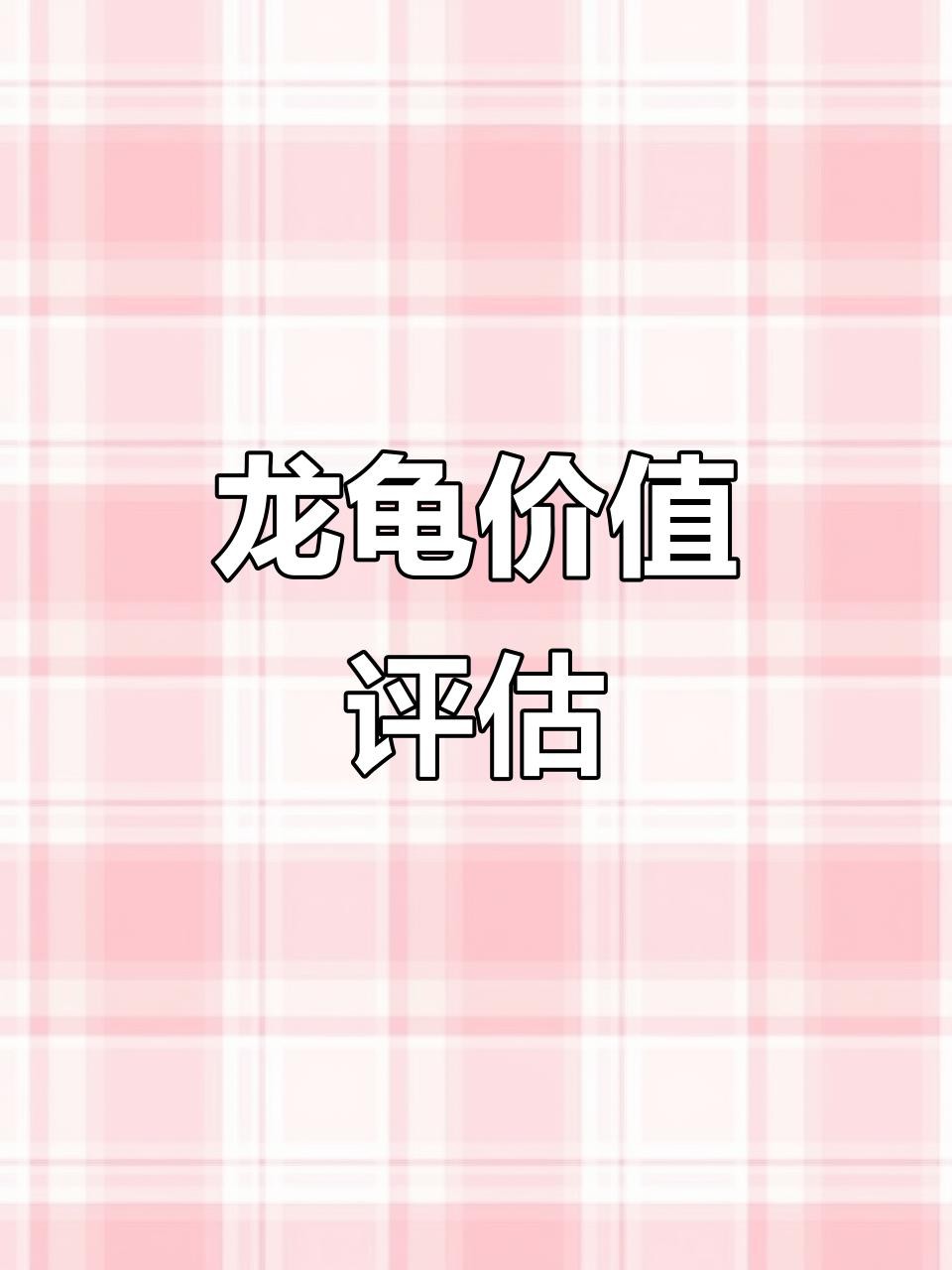 不同材質龍龜的價格差異大嗎？，不同材質的龍龜價格差異顯著，