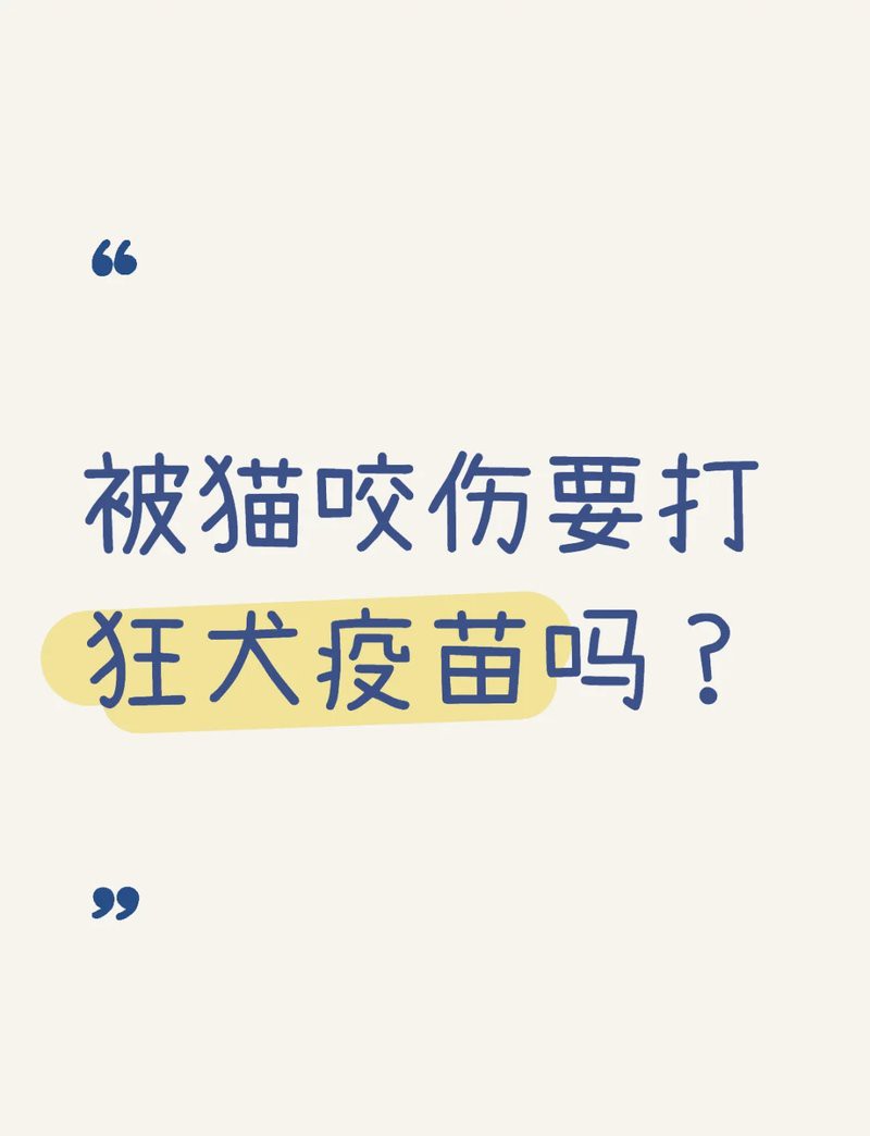 如何判斷龍貓咬傷是否嚴重？，如何判斷龍貓咬傷是否嚴重 如何判斷龍貓咬傷是否嚴重？，如何判斷龍貓咬傷是否嚴重 龍魚論壇 第1張