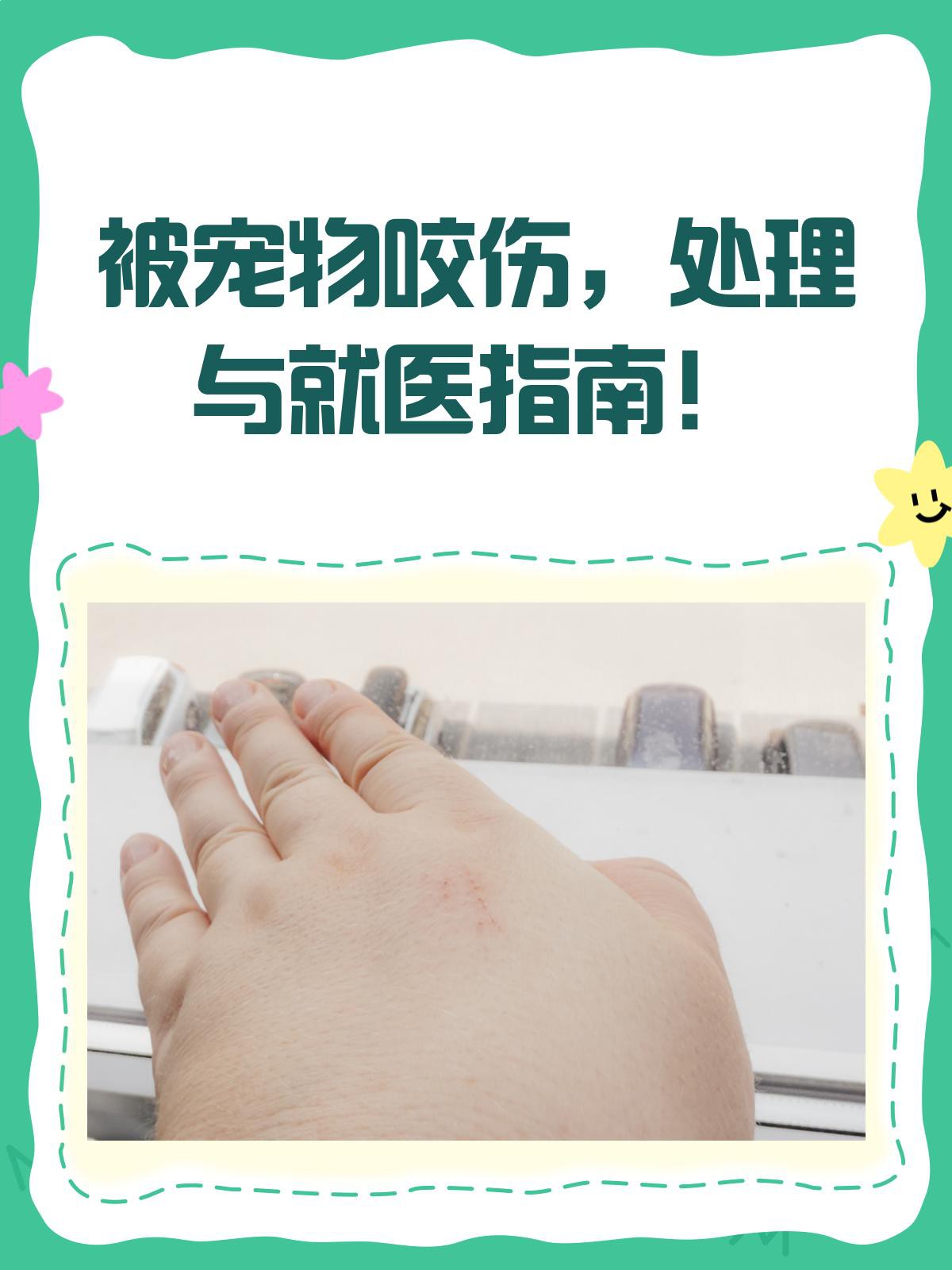 如何判斷龍貓咬傷是否嚴重？，如何判斷龍貓咬傷是否嚴重 如何判斷龍貓咬傷是否嚴重？，如何判斷龍貓咬傷是否嚴重 龍魚論壇 第2張