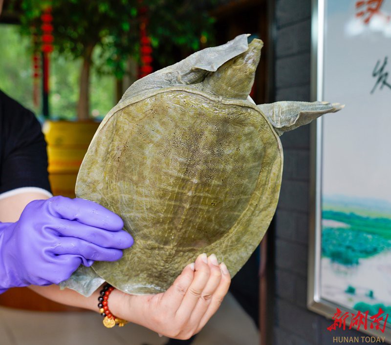 漢壽水族店，漢壽縣天天水族館為何已注銷這兩家水族館的口碑如何 漢壽水族店，漢壽縣天天水族館為何已注銷這兩家水族館的口碑如何 全國水族館企業(yè)名錄