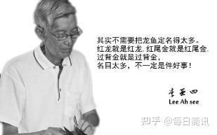 李亞四，《李亞四》聚焦于人物李亞四的生活軌跡與成長歷程