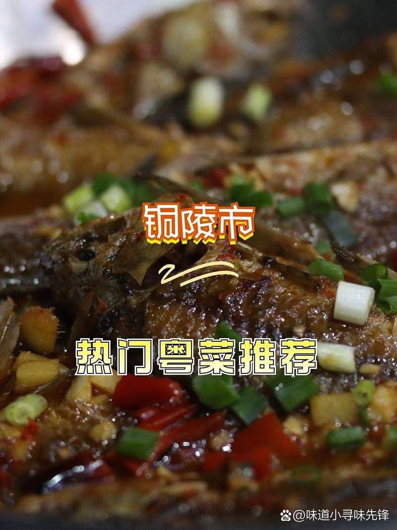 銅陵龍魚店，銅陵龍魚店——銅陵水族的標桿